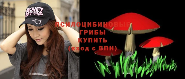 ПСИЛОЦИБИНОВЫЕ ГРИБЫ Зерноград