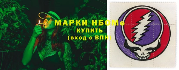 твердый Бикин