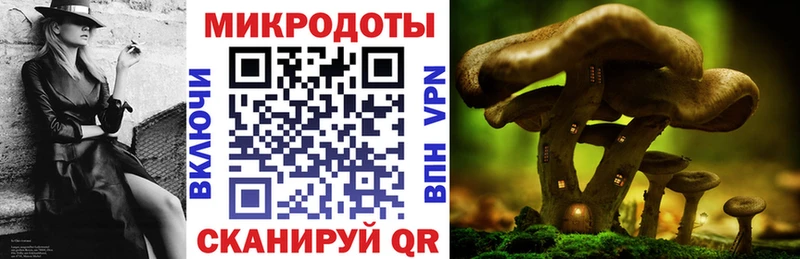 Галлюциногенные грибы ЛСД Кизляр